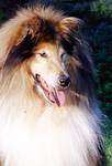 Bobby 9 1/2 Jahre